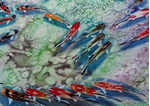 Section of Culture 5000 