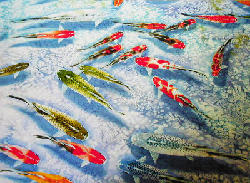 Limited  Edition Print of Culture 5000 - Ref HSY